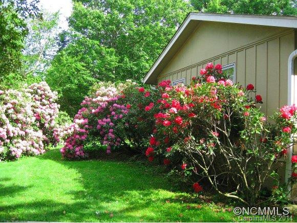 13 Somerset Road - Photo 4