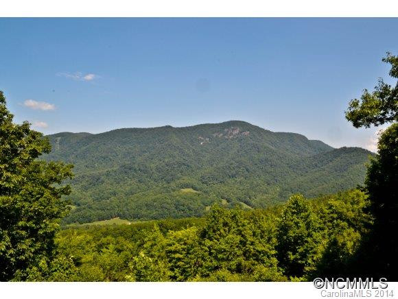 2569 Linville Drive - Photo 2
