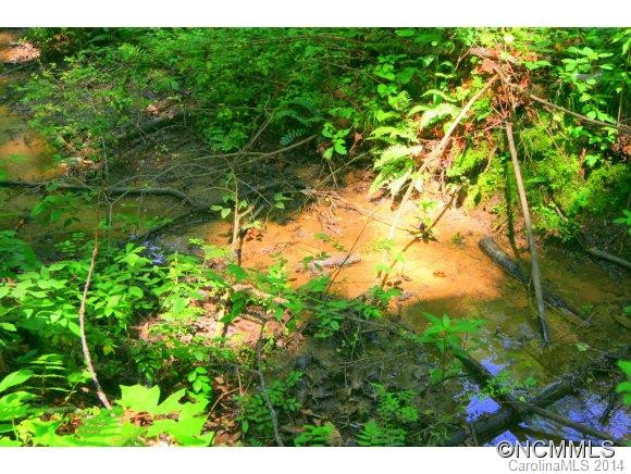 107 Hollyhock Ct - Photo 15
