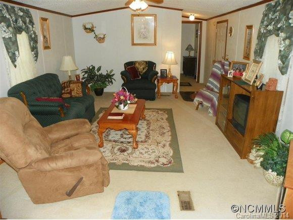 420 Hoopers Creek Road - Photo 7
