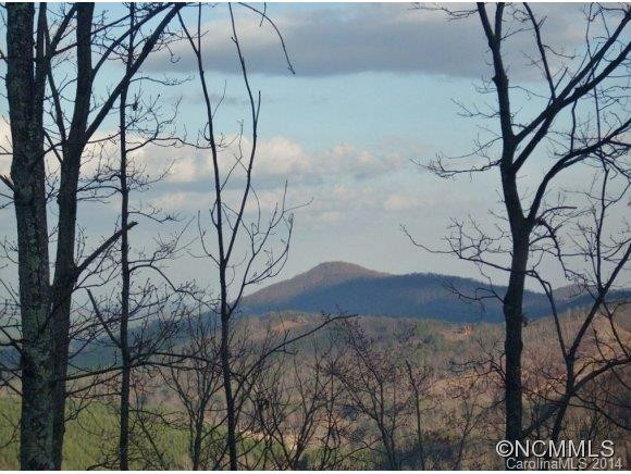 841 Fire Tower - Photo 16