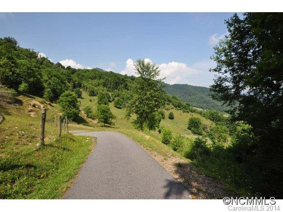 671 Black Bear Cove - Photo 14