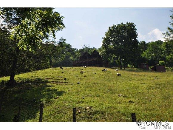 671 Black Bear Cove - Photo 15