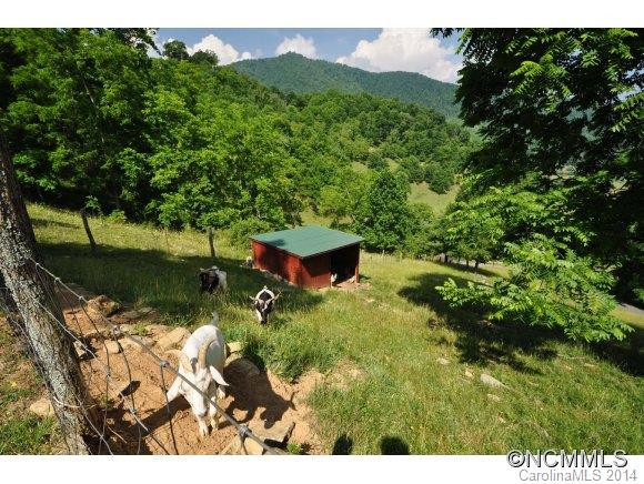 671 Black Bear Cove - Photo 17