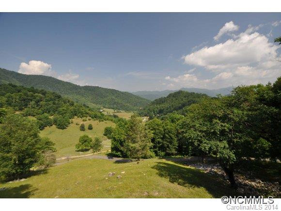 671 Black Bear Cove - Photo 3