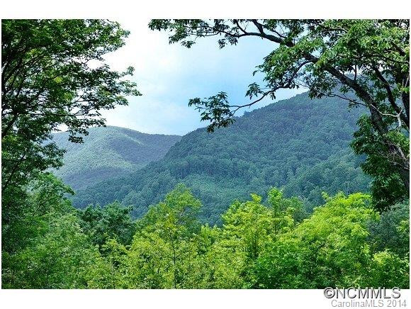 154 Devils Ridge Lane - Photo 4
