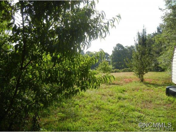 7423 S Hwy 9 NC - Photo 4