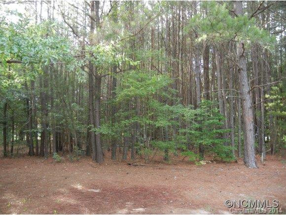 7423 S Hwy 9 NC - Photo 5