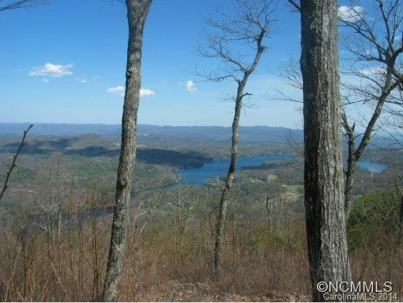 1542 Panthertown Road - Photo 2