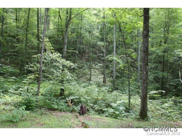 140 Burgan Pace Rd - Photo 14