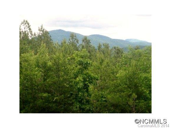 188 Buckskin Ct. - Photo 2