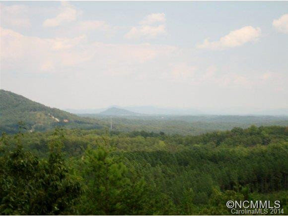 188 Buckskin Ct. - Photo 3