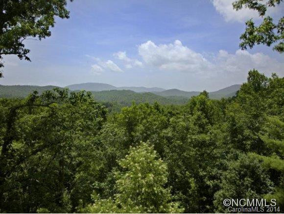 60 WHISPERING STREAM TRAIL - Photo 4