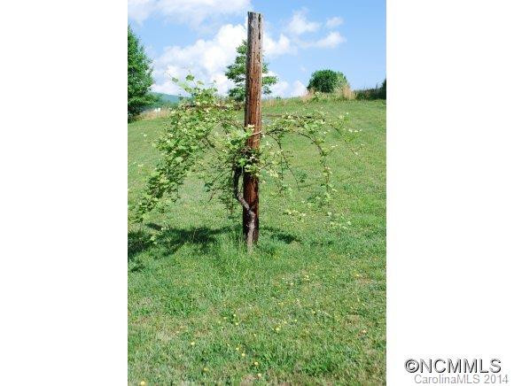 466 Morgan Rd - Photo 12