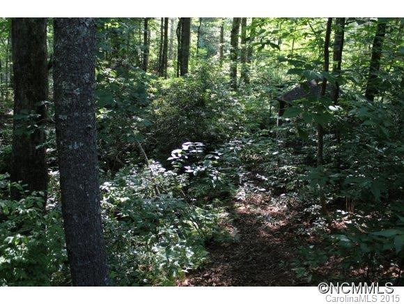 1715 Jeter Mountain Rd - Photo 22