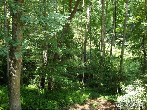 173 Surry Lane - Photo 6
