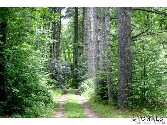 1161 Crab Creek Road - Photo 5