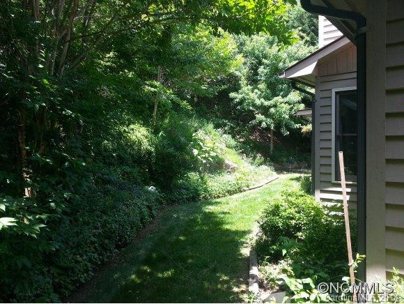 5A Hedgerose - Photo 2