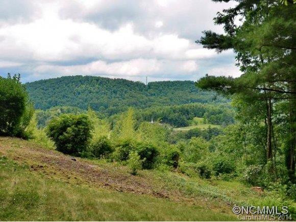502 DAVIS MOUNTAIN ROAD - Photo 13