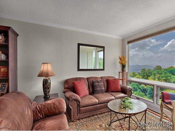 647 TOWN MOUNTAIN ROAD #502 - Photo 2