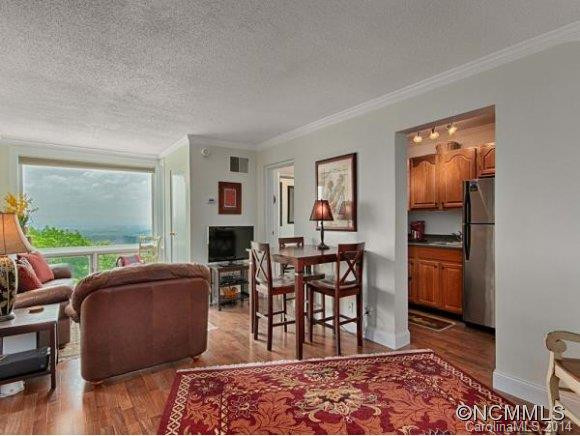 647 TOWN MOUNTAIN ROAD #502 - Photo 3