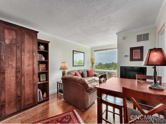 647 TOWN MOUNTAIN ROAD #502 - Photo 4