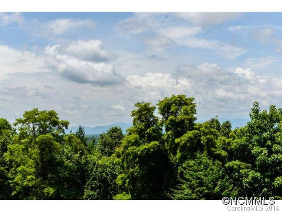 305 Piney Mountain Dr. G-1 - Photo 21