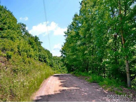 2224 FOX HOLLOW ROAD - Photo 8
