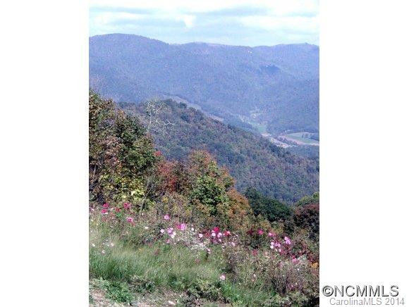 5 Berry Patch Lane - Photo 3