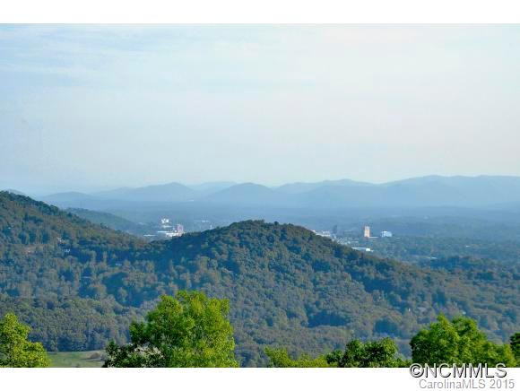 573 Elk Mountain Scenic Highway - Photo 10