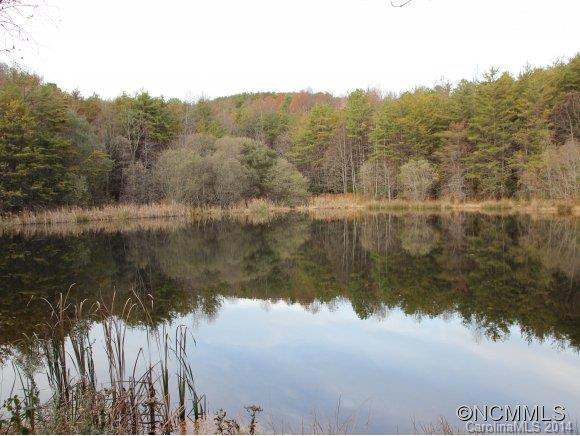 281 Bearwallow Trail - Photo 7