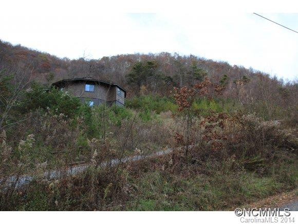 281 Bearwallow Trail - Photo 8
