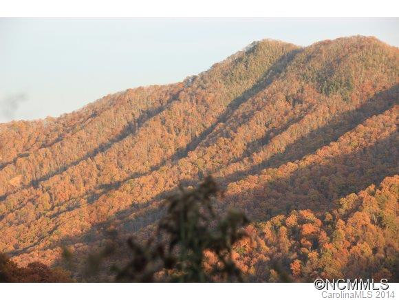 281 Bearwallow Trail - Photo 9