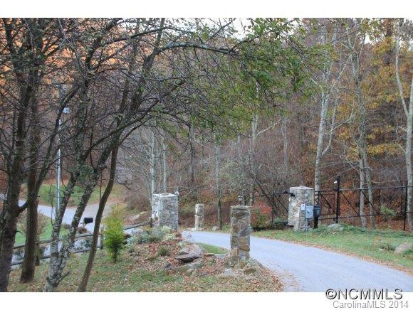 281 Bearwallow Trail - Photo 10