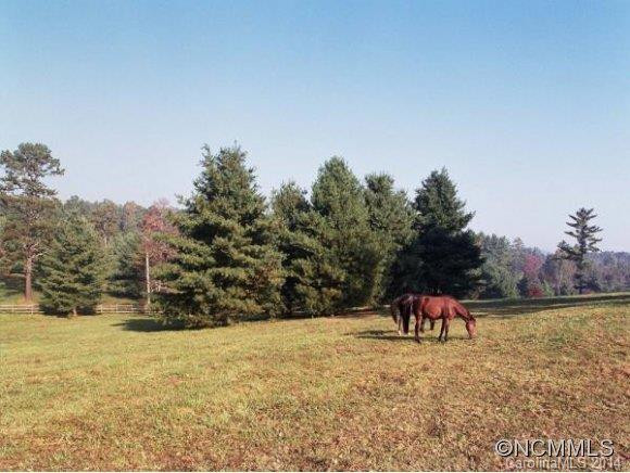 1239 CANE CREEK ROAD - Photo 19