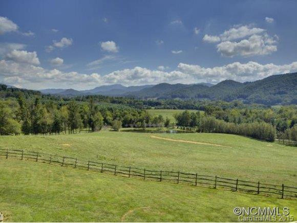 1239 CANE CREEK ROAD - Photo 3