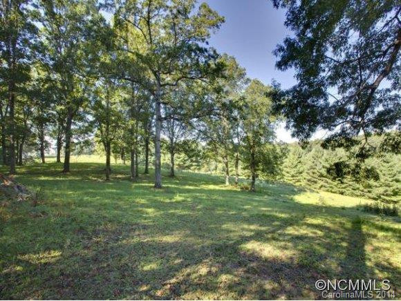 1239 CANE CREEK ROAD - Photo 24