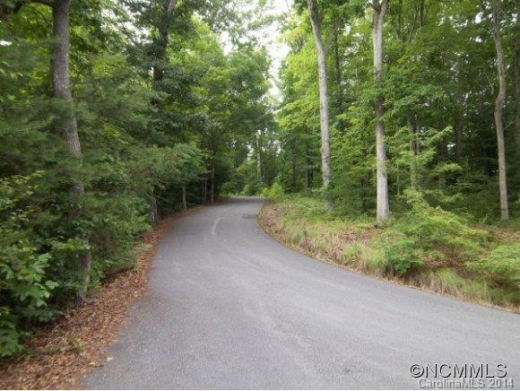 540 Silent Forest Drive - Photo 14