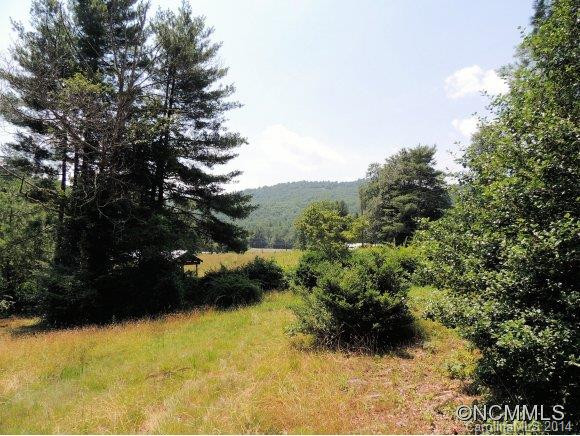 204 Hawkins Creek Road - Photo 11