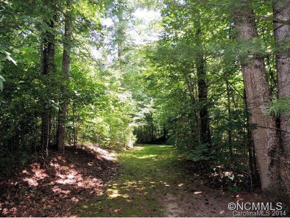 204 Hawkins Creek Road - Photo 6