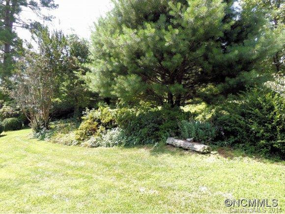 204 Hawkins Creek Road - Photo 7