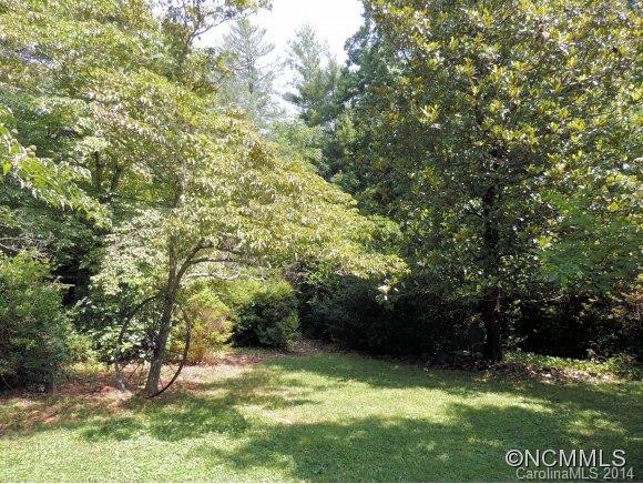 204 Hawkins Creek Road - Photo 8
