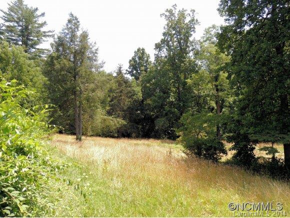 204 Hawkins Creek Road - Photo 9