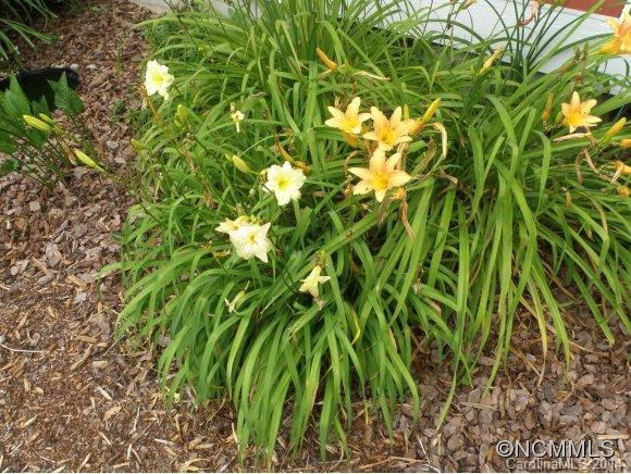 18 Odonald Dr - Photo 6