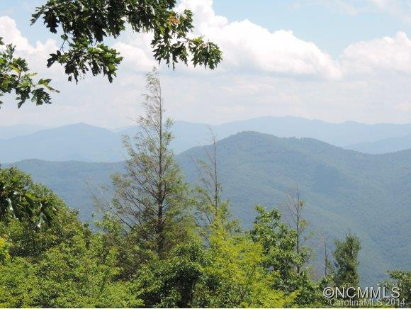 66 Rumble Ridge - Photo 3