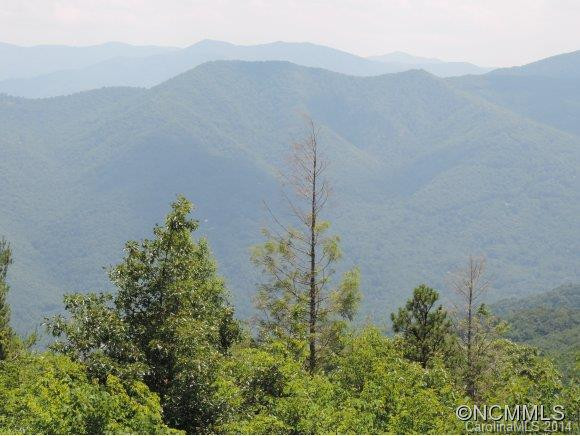66 Rumble Ridge - Photo 4