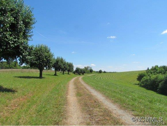 5139 Big Level Road - Photo 4