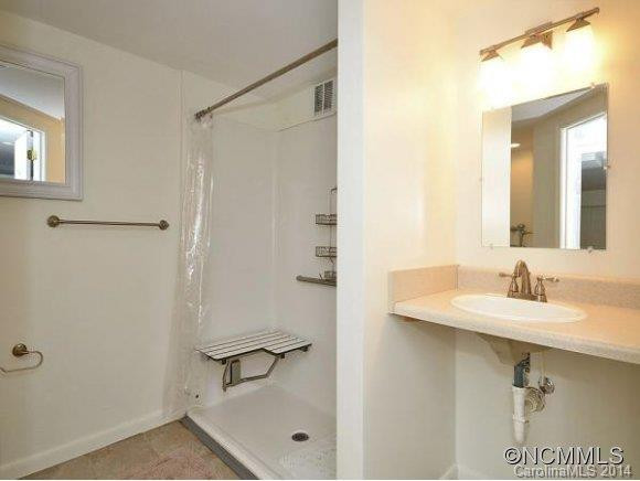 334 OLD HAW CREEK ROAD - Photo 15