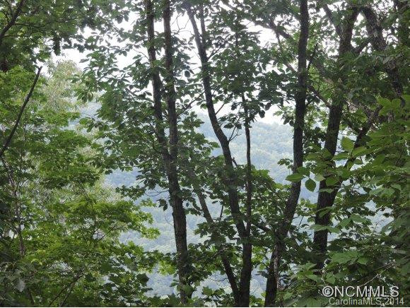 469 RAVEN ROCK LN - Photo 24