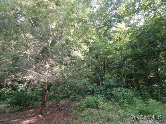 49 Reeds Creek Road - Photo 23